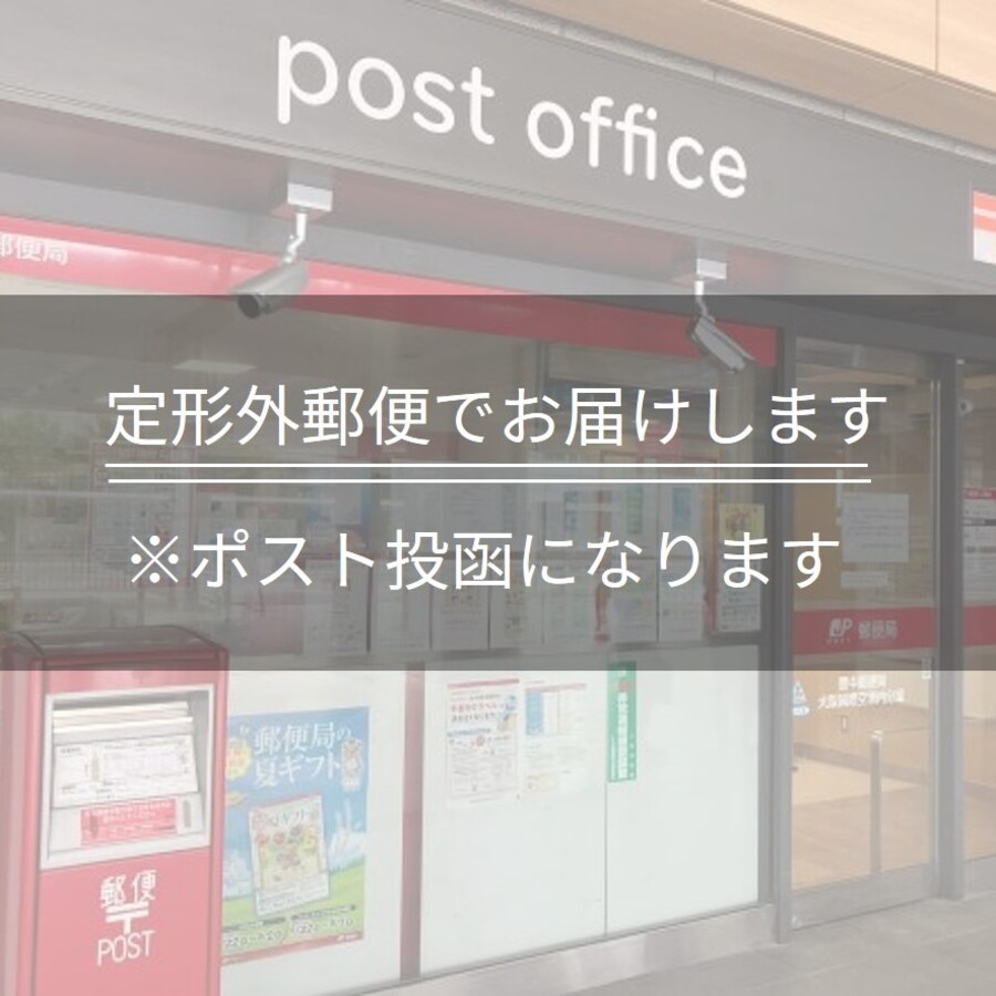 楽天市場】＼翌日出荷（年中無休）国内正規品 ／フェザー