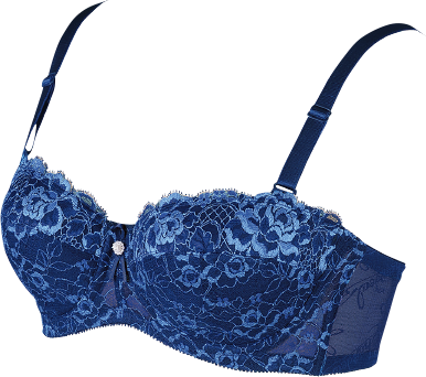 ソレイユ | 補整下着メーカー 株式会社シャンデール