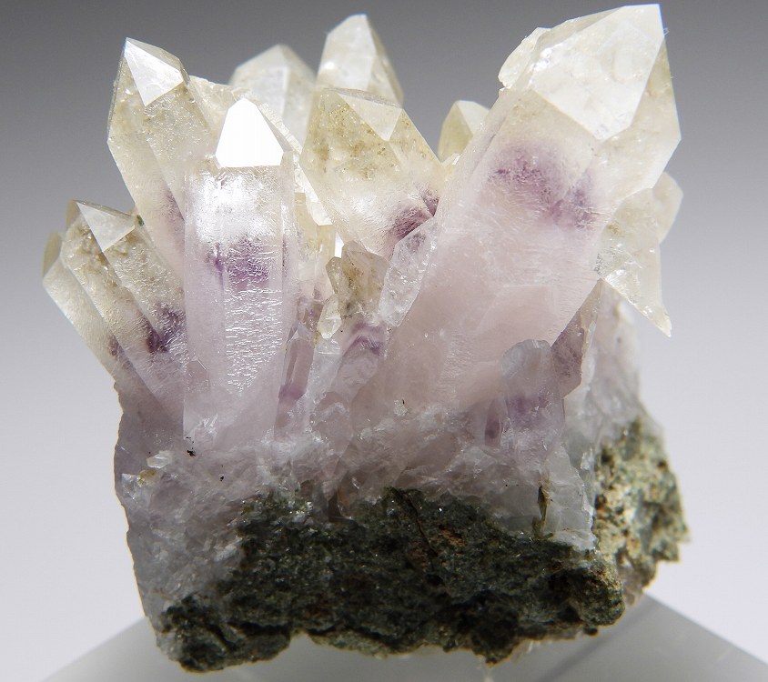 紫水晶 144J 岐阜県 - 鉱物標本・隕石標本販売のWeb専門店 エヌズ