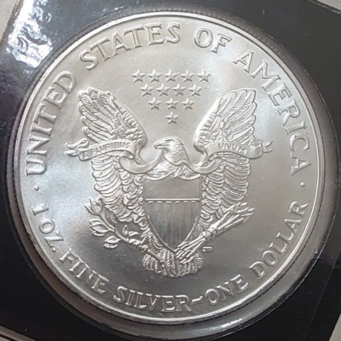 1995年アメリカ銀貨 1オンス銀貨 ウォーキングリバティ シルバー