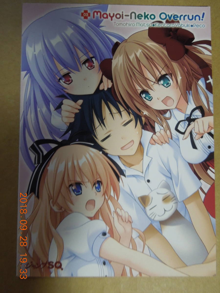 Yahoo!オークション - 迷い猫オーバーラン イラストカード ① / 松智洋