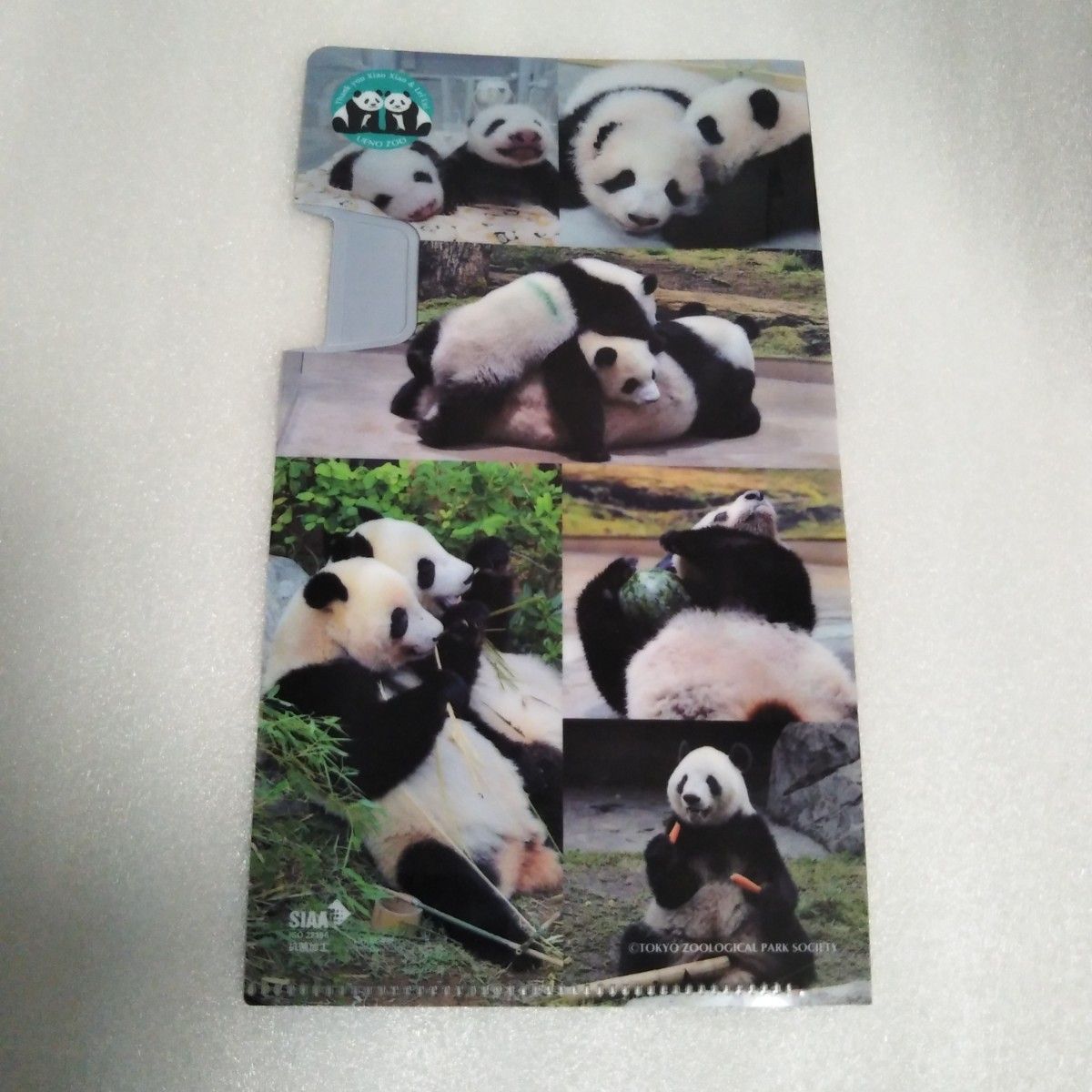 上野動物園パンダ ぬいぐるみ 親子パンダ シャオシャオ レイレイ