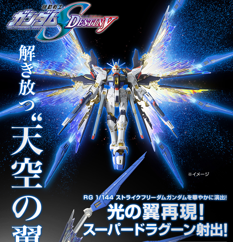 RG 1/144 ストライクフリーダムガンダム用 拡張エフェクトユニット