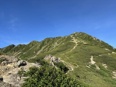 南アルプスの女王” の異名を持つ「仙丈ヶ岳」 電波も届かない場所で