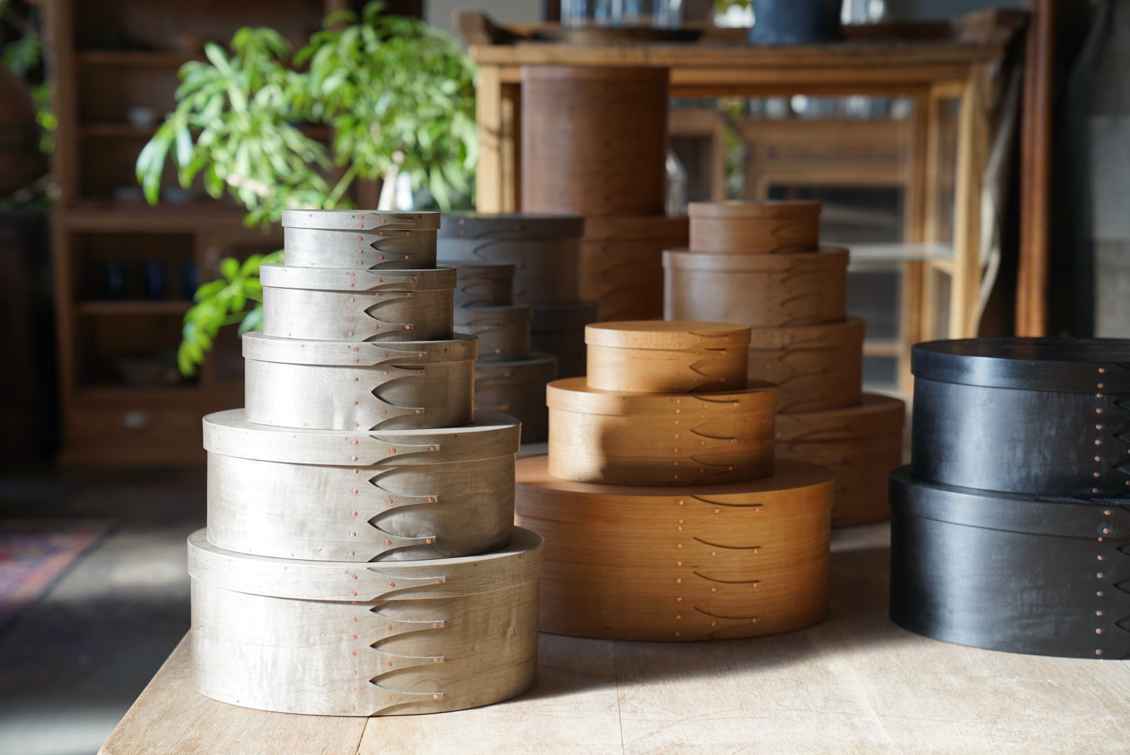 IFUJI 井藤昌志 展