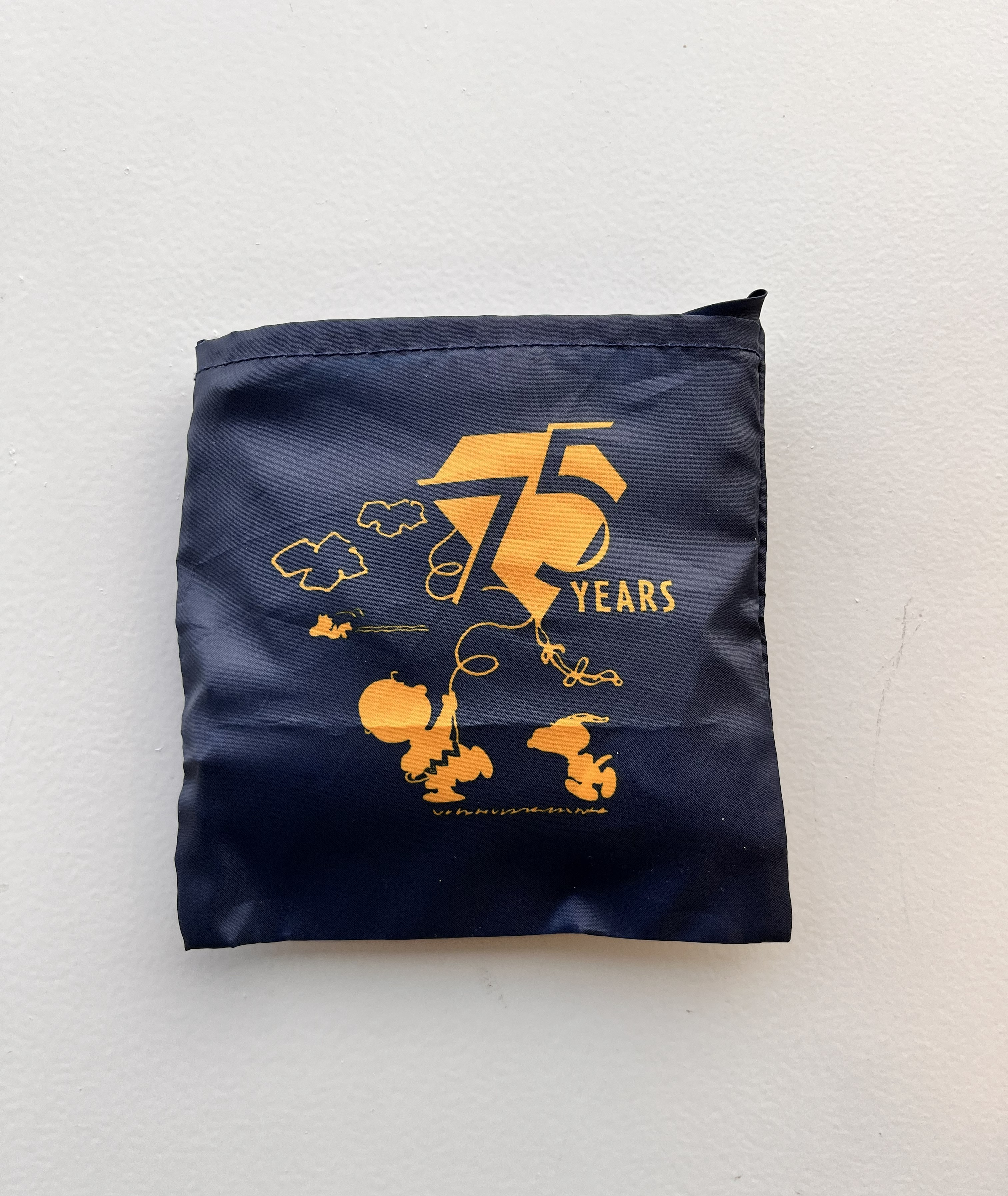 2025年12月増刊号《特別付録》SNOOPYでかエコバッグ＆12月の平日ラク献立