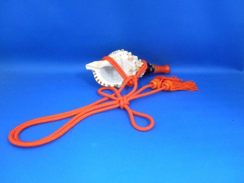 法螺貝（ほら貝）販売のお店