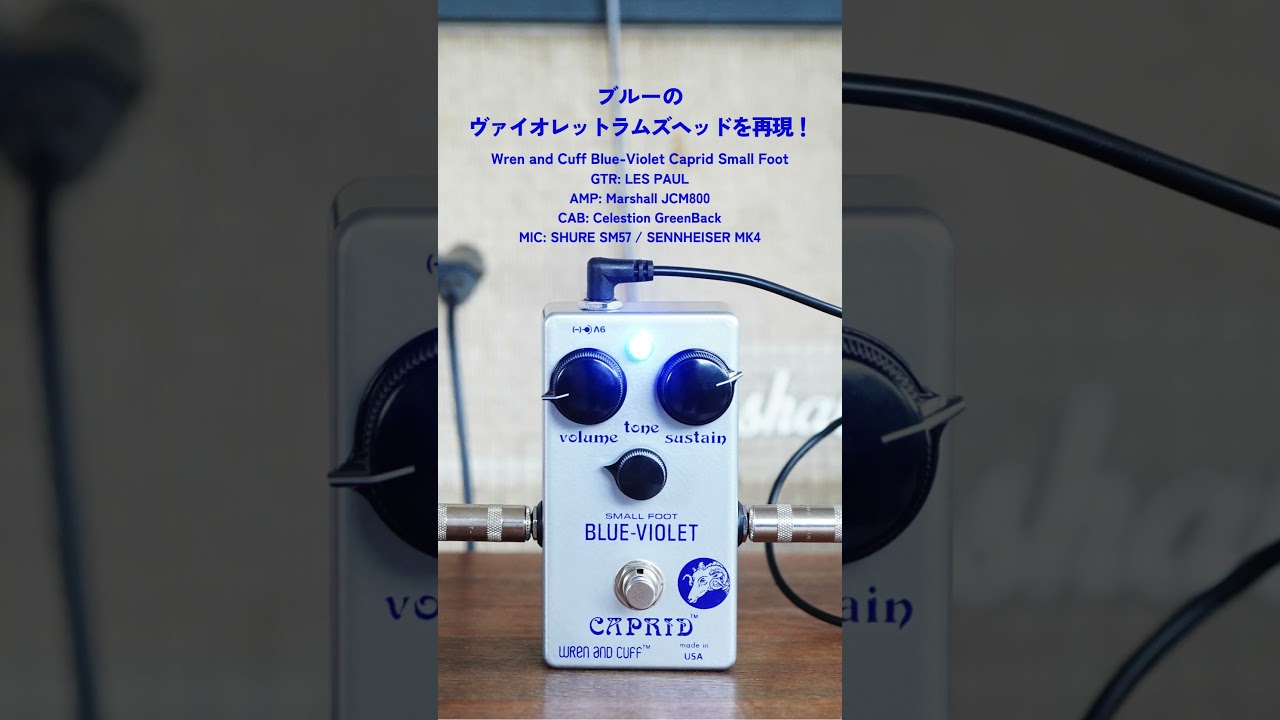 ブルーのヴァイオレットラムズヘッドを再現！Wren and Cuff Blue