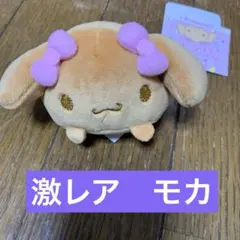 m51059598677_1.jpg?1772214118