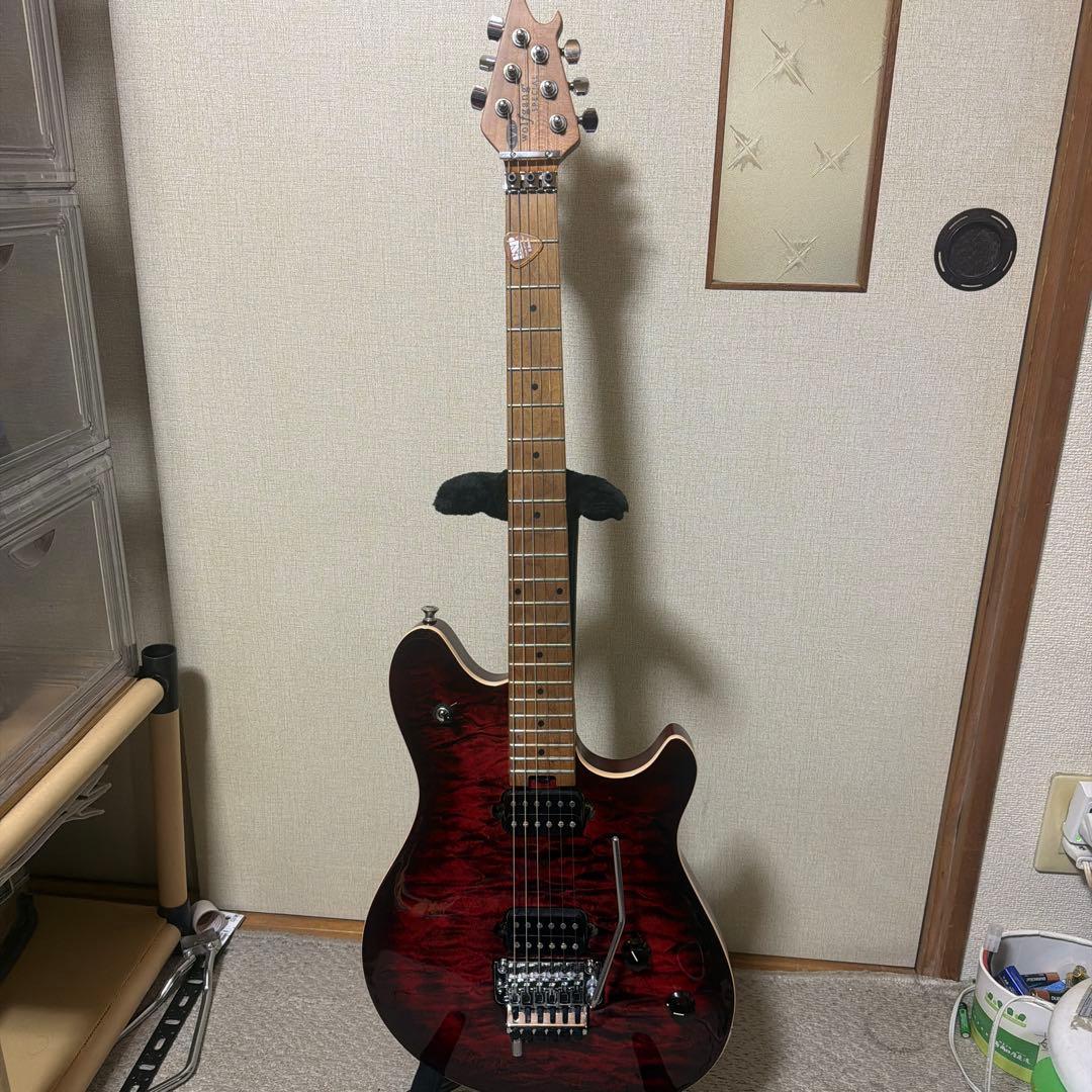 ※亮※ Wolfgang Special Wolfgang® :: Wolfgang® Special, Ebony Fingerboard, Stealth Black