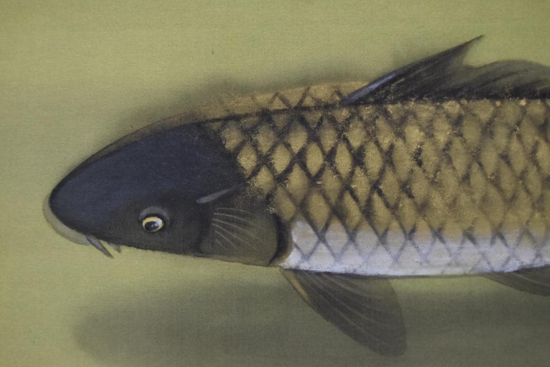 蔵重欣也/鯉図/横物/掛軸☆宝船☆Z-723