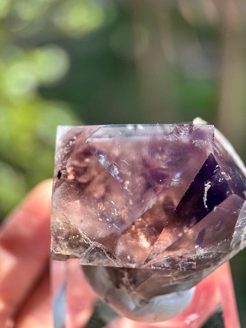 その他 sherry twins pocket