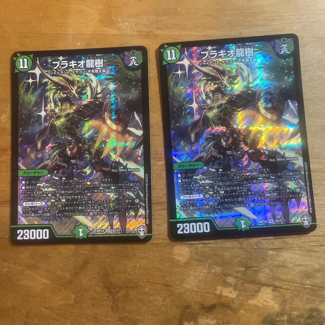 ブラキオ龍樹二枚