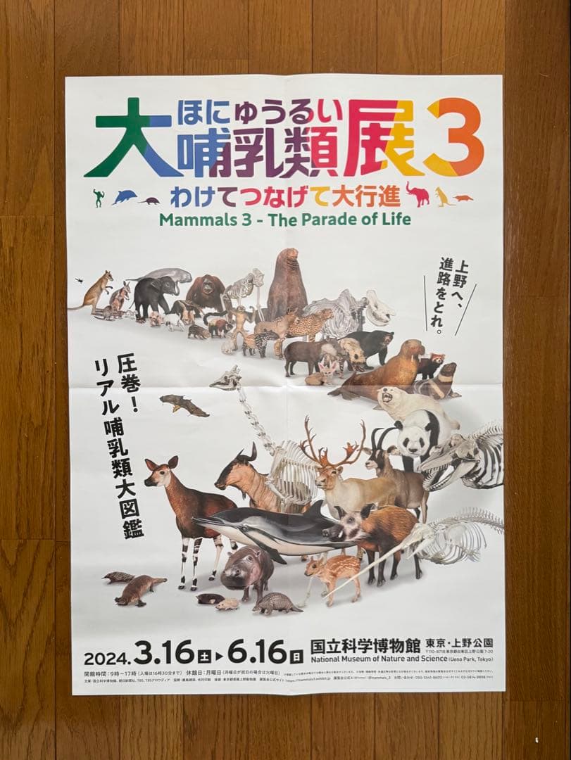 美品　大哺乳類展3 告知ポスター　カラー版