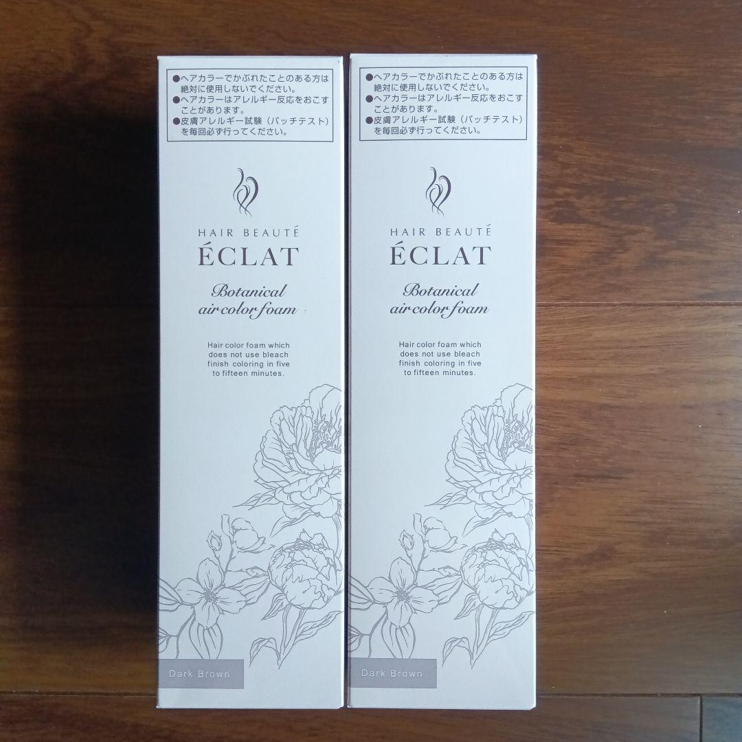 ÉCLAT ボタニカルエアカラーフォーム 59・15 ヘアボーテ エクラ ボタニカルエアカラーフォーム ダークブラウン
