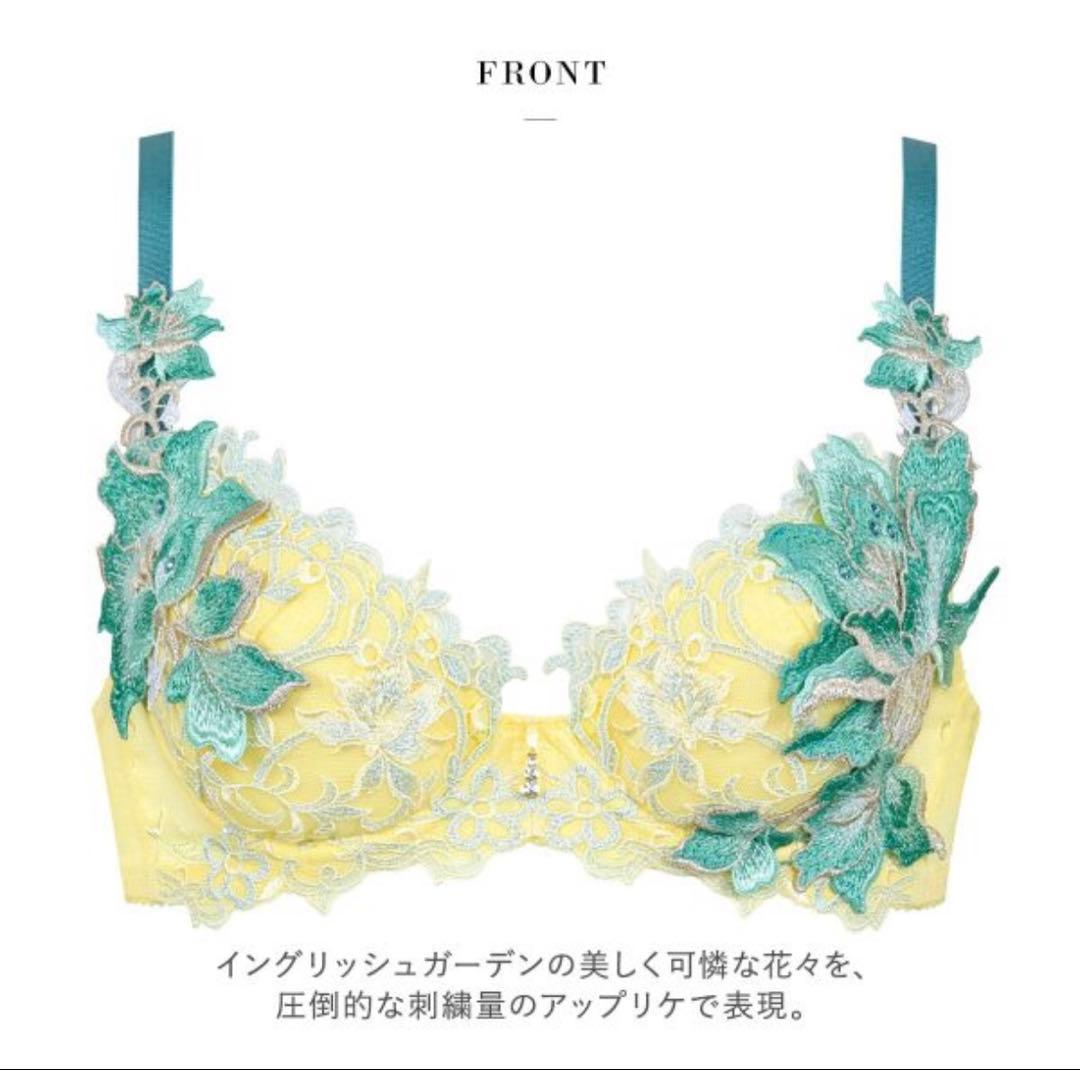 ワコール サルート ブラジャー F65