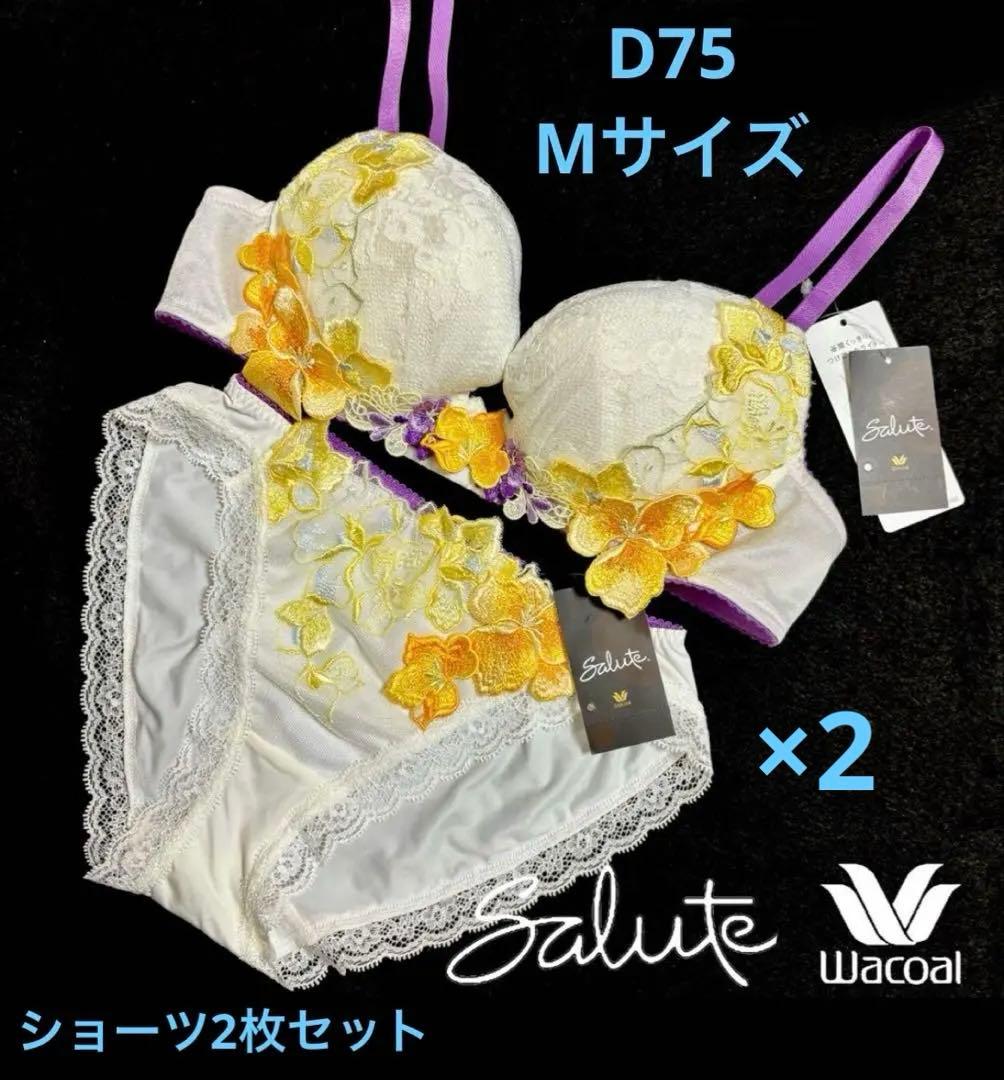 D75M ワコール サルート 13G 世界遺産 フィレンツェ ブラ＆ショーツ×2