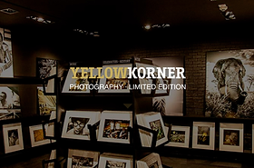 イエローコーナー | フランス発のアートフォト専門ショップ