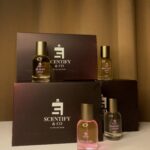 InShot_20251128_031250086