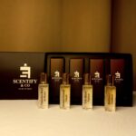 InShot_20251128_033227561